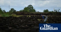 On Ireland’s peat bogs: climate action clashes with tradition – in pictures