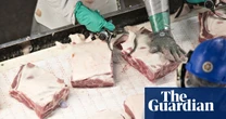 ‘They’re killing you’: US poultry workers fear faster lines will lead to more injury
