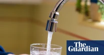 Exposure to some common Pfas changes gene activity, new study finds