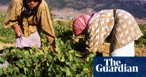 ‘The quality of Lebanese wine is absolutely incredible’