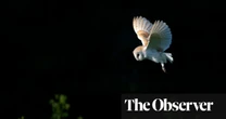 Overnight: Journeys, Conversations and Stories After Dark by Dan Richards review – night owls of all feathers