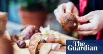 That won’t wash: should you rinse your mushrooms?