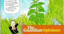 Chris Riddell on Wes Streeting grasping the nettle of social care reform – cartoon