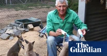 Wildlife rescue group Wires faces crunch vote amid volunteer discontent over funds raised after bushfires