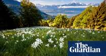 Swiss voters reject biodiversity proposal in blow to conservation campaigners