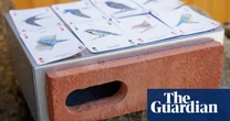 Labour blocks proposal for ‘swift bricks’ in all new homes