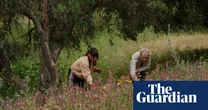 California gardeners plant native species in parks to prevent wildfire spread – in pictures