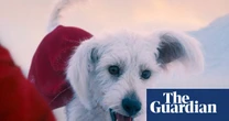 A real wag: Superman gets the bleak realities of dog ownership spot on