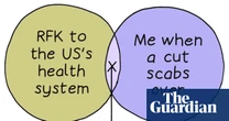 From RFK and a scab to the far right in Europe: Edith Pritchett’s week in Venn diagrams – cartoon