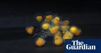 Beaker Street Science Photography Prize – in pictures
