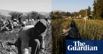 History shows war against immigrants will backfire on all Americans