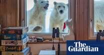 ‘Wonderful experience’: Svalbard researcher’s close encounter with Svalbard polar bears