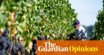 The Guardian view on France’s wine crisis: the answer to claret could be clairet | Editorial