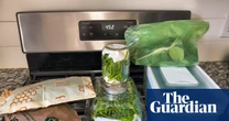 Six tips and products to keep leafy greens fresh longer, tested