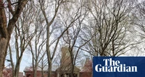Trump says he wants ‘nothing less than $500m’ from Harvard as feud continues