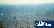 Labor’s 2035 emissions target a ‘sliding doors’ moment for future generations