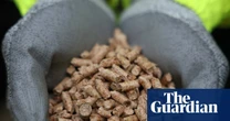 UK power company Drax’s shares plunge amid investigation over source of ‘renewable’ fuel