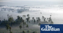 Conservationists alarmed by drastic cuts to key UK fund for global nature protection