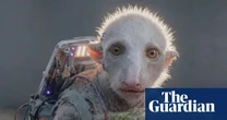 ‘There are no rules’: spotlight on Gossip Goblin as AI film-making enters new era