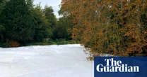Dead fish found on River Thet where large stretch of white foam appeared