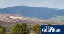 BrewDog sells Scottish ‘rewilding’ estate it bought only five years ago