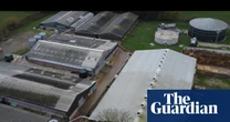 Supermarkets suspend supplies from Lincolnshire pig farm after covert filming of animal abuse