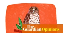 Powerful owls’ grisly crime scenes in urban parkland remind us we share suburbia with a magnificent predator