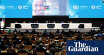 Cop29’s new carbon market rules offer hope after scandal and deadlock