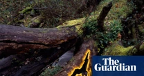 Pastoral play, AI portraits and a radical utopia for kids – the week in art