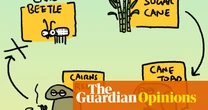 Everyone hates cane toads – even the other cane toads | First Dog on the Moon