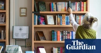 Independent bookstores make quiet comeback as big chains dominate retail