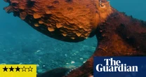 Octopus! review – Phoebe Waller-Bridge’s ocean documentary is a total waste of her talents