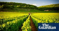 Put down that chardonnay: try an aligoté instead