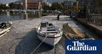 Hundreds of thousands of dead fish blanket Greece tourist port after flooding – video