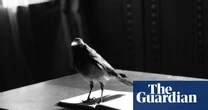 Grief Is the Thing With Feathers by Max Porter review – a bravura rendering of bereavement