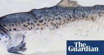 Something fishy: the best of Belfast photo festival – in pictures