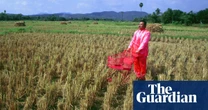 Pink Man pushing his pink trolley through a field in Thailand: Manit Sriwanichpoom’s best photograph