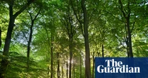 Area of England well protected for nature is in decline, data shows
