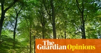 The Guardian view on the cultural life of trees: we must protect our natural heritage | Editorial