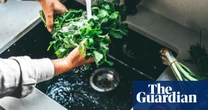 Eating more fiber could reduce ‘forever chemicals’ in bodies, study suggests
