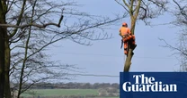 ‘It’s been beyond difficult’: earthworks of HS2 take toll on Chilterns residents