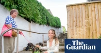 ‘Bee buffets’: the pollinator pathways turning drab alleys into insect havens
