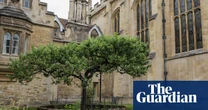 Cambridge experts recreate 336-year-old garden to commemorate ‘father of natural history’