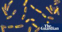 Bleach does not tackle fatal hospital superbug, UK researchers find