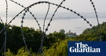 ‘Landmines have become the greatest protectors’: how wildlife is thriving in the Korean DMZ