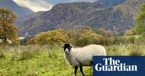 Conservationists call for Lake District to lose Unesco world heritage status