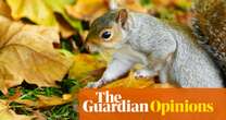 Immigration’s a hot topic – and it applies to non-native plants, animals and insects, all over the world  | Tim Blackburn