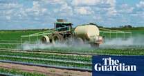 US-funded ‘social network’ attacking pesticide critics shuts down after Guardian investigation