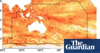Marine heatwave found to have engulfed area of ocean five times the size of Australia