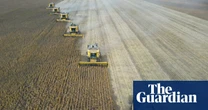 ‘Super’ El Niño could cause global food price shock lasting into 2028, analysts say